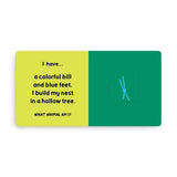 Jungle Tracks Lift-the-Flap Board book