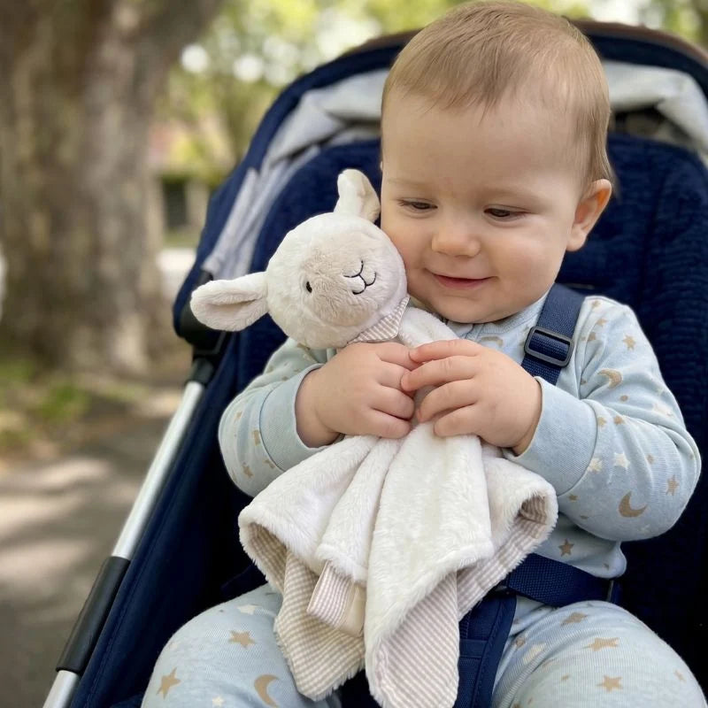Lamb Comforter