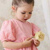 Jamie Kay Organic Cotton Frannie Dress - Swiss Pink
