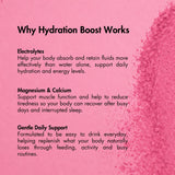 Watermelon Hydration Boost | 10 Single Serves