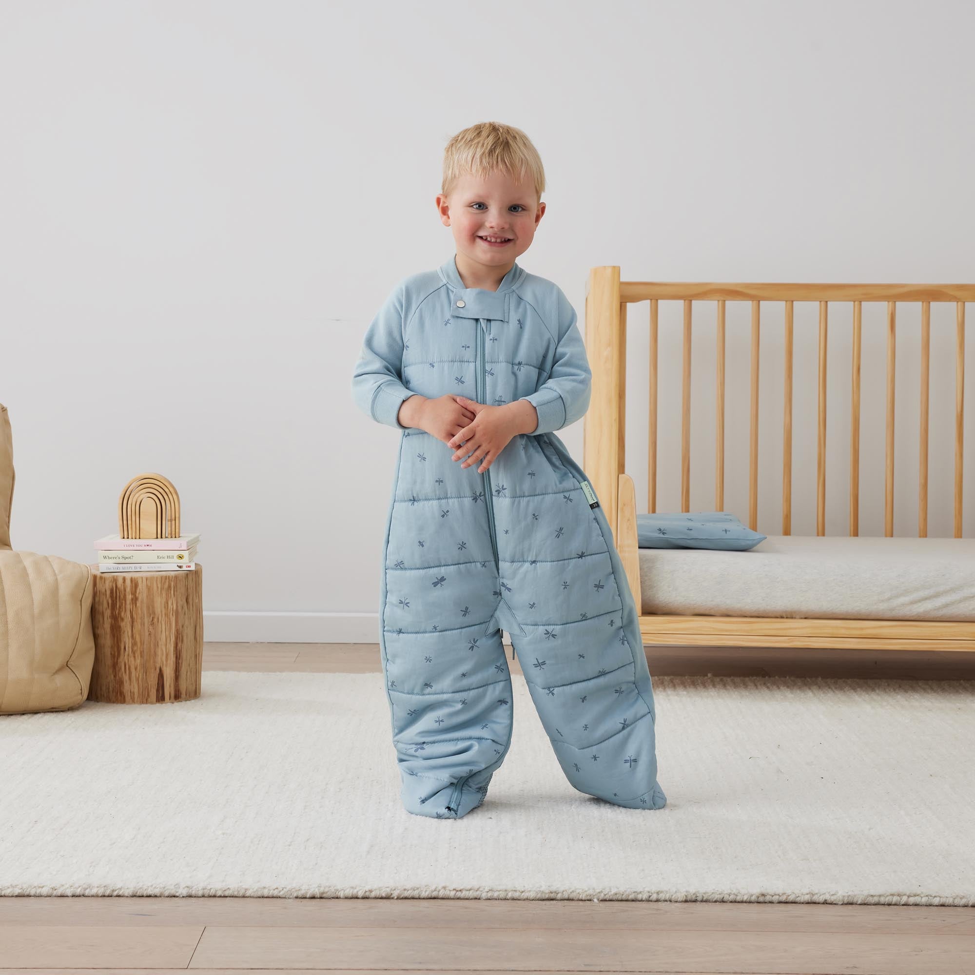 ergoPouch Sleep Suit Bag - Dragonflies | Tog 2.5