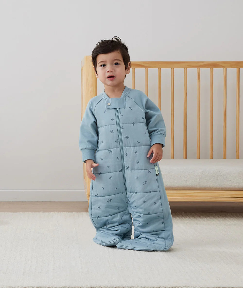 ergoPouch Sleep Suit Bag - Dragonflies | Tog 3.5