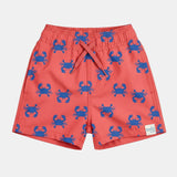 Toshi Swim Boardies Pirate Beach Mud Crab