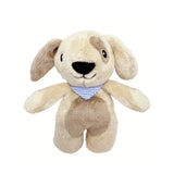 Dog Sensory Rattle